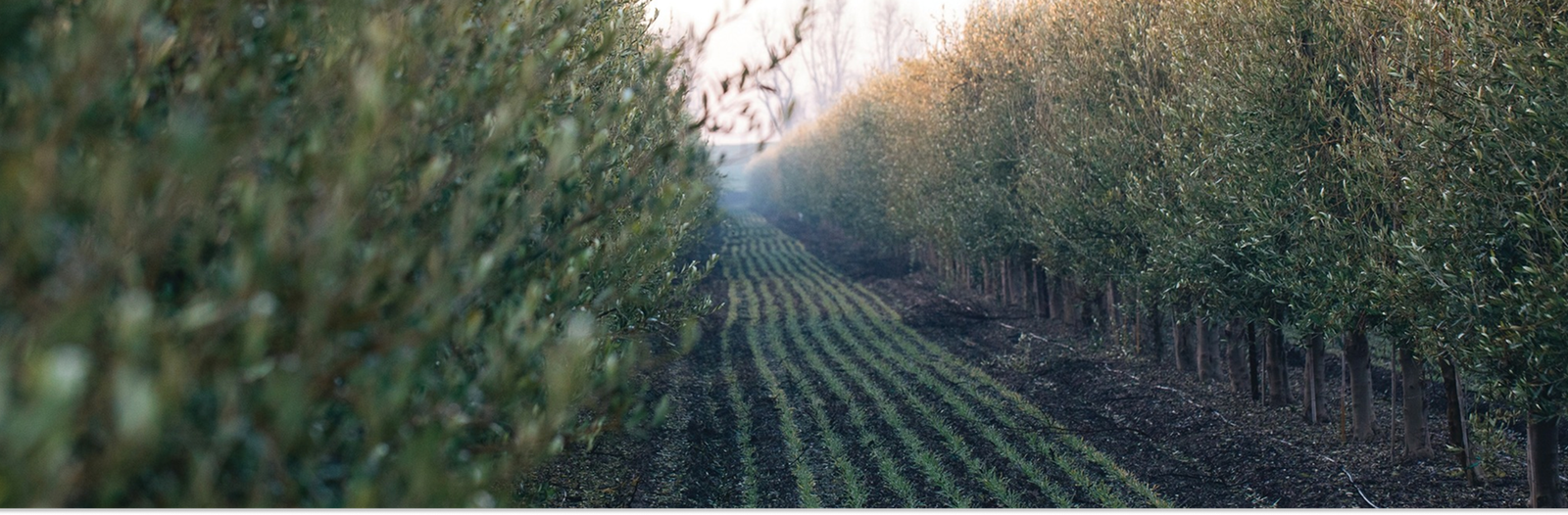 We are proud of our heritage and our commitment to excellence